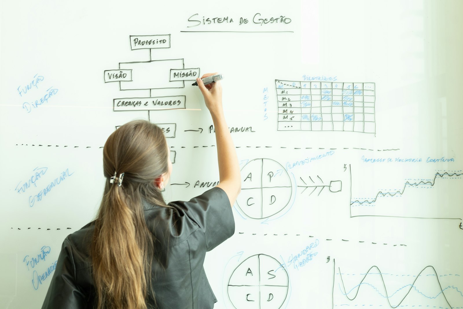 Consultant sketching an organizational chart on a whiteboard